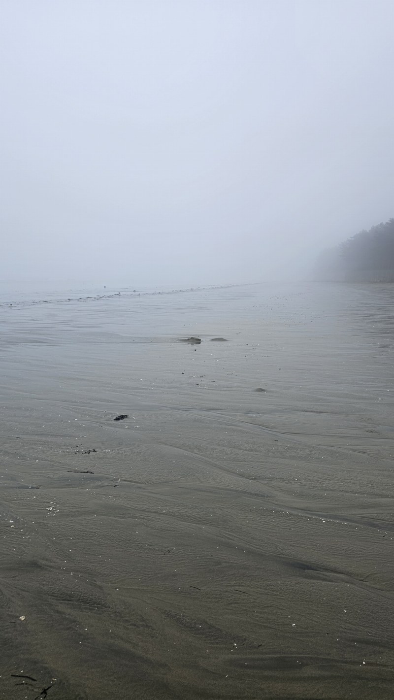 사곶해변 (사곶천연비행장)